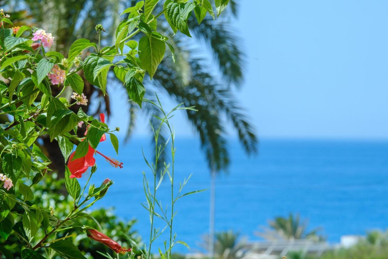 Beautiful Torreoceano 92, Pool, Beach Access La Cala De Mijas Buitenkant foto